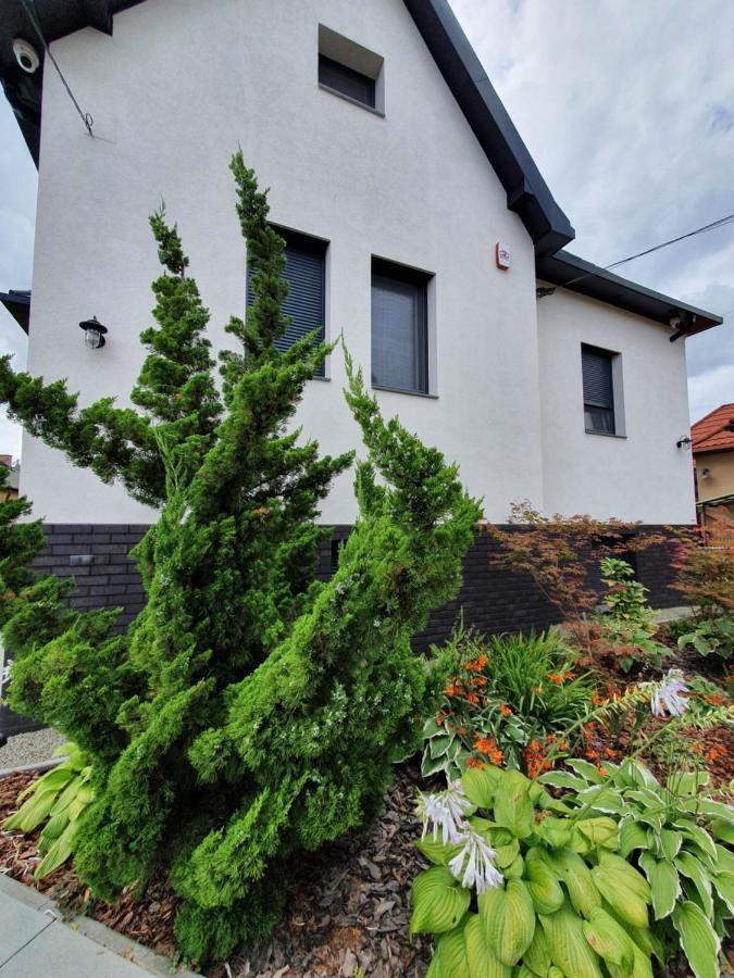 Tweed House Villa Budapest Luaran gambar
